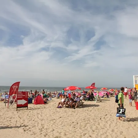 Aan Het Strand 아파트 에크몬드안지